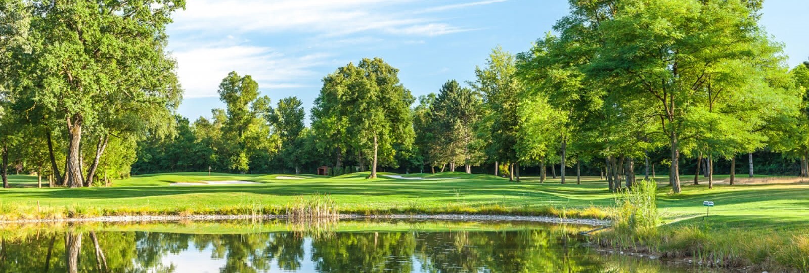 Visite au Golf du Rhin en Alsace